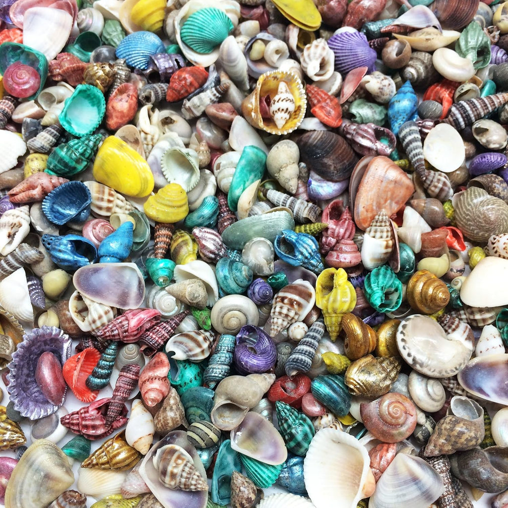 PEPPERLONELY Extra Small Dyed/Natural Mix Seashells, Very Small & Clean, 8 OZ Apprx. 1/4 Inch ~ 1/2 Inch