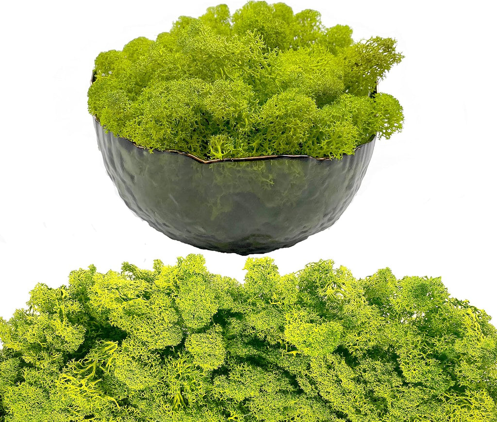 Moss Preserved Artificial Moss 8.8oz Natural Fresh Green Moss for Craft Arts Floral Project Wall Decor Table Decor Wedding Centerpieces Garden Terrariums Decoration Chartreuse