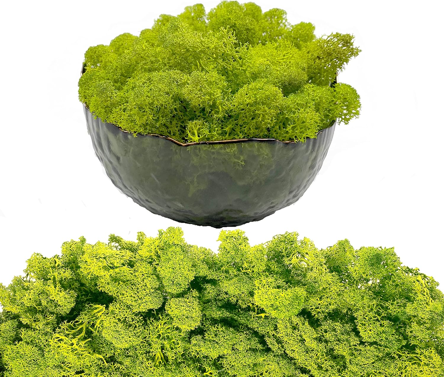Moss Preserved Artificial Moss 8.8oz Natural Fresh Green Moss for Craft Arts Floral Project Wall Decor Table Decor Wedding Centerpieces Garden Terrariums Decoration Chartreuse