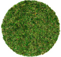 SuperMoss (26320) Moss Soil Toppers (Place Mats), Fresh Green, 14" (3 units)