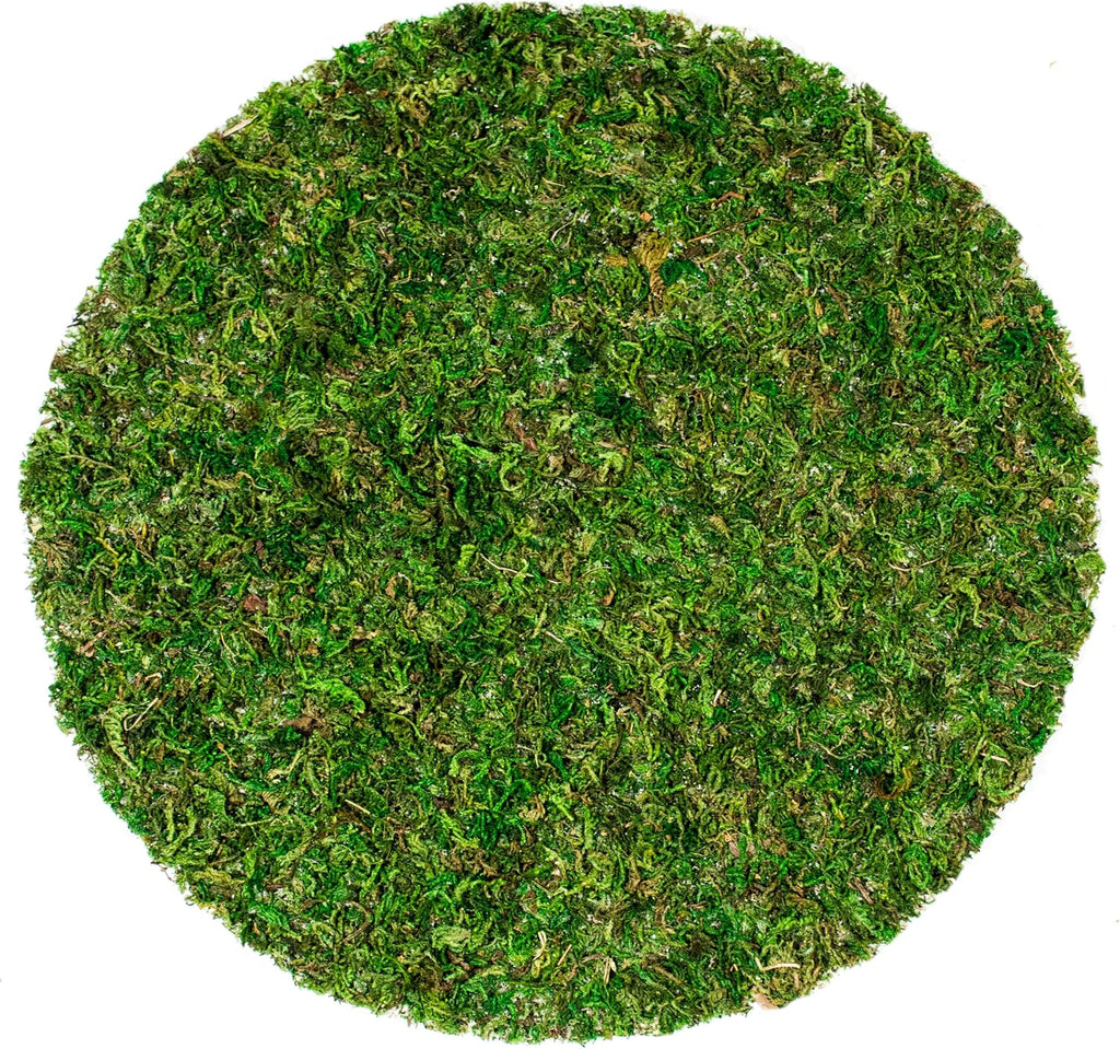 SuperMoss (26315) Moss Soil Toppers (Place Mats), Fresh Green, 12" (3 units)