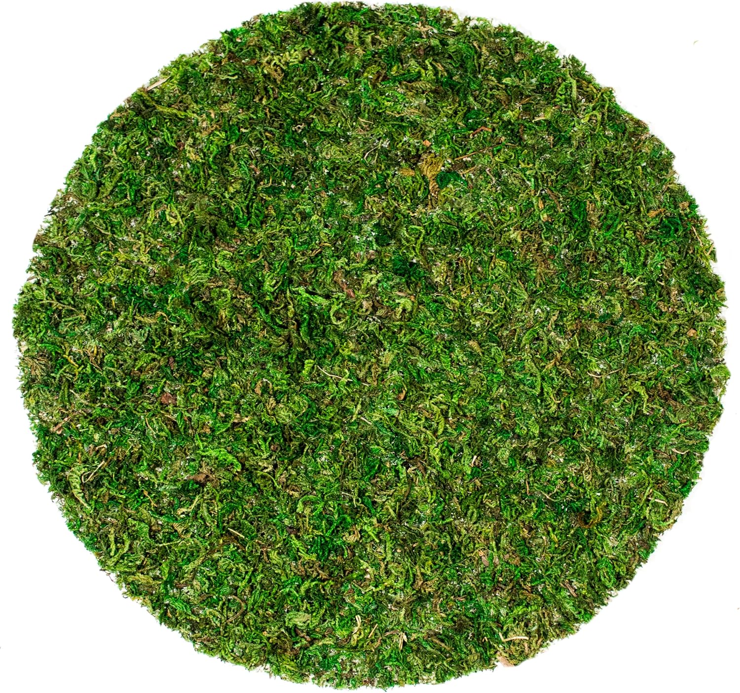 SuperMoss (26315) Moss Soil Toppers (Place Mats), Fresh Green, 12" (3 units)