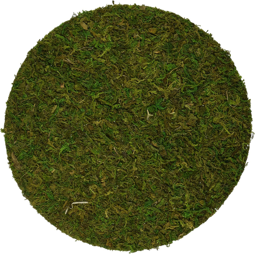 SuperMoss (26335) Moss Soil Toppers, Fresh Green, Assorted 4 Sizes