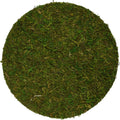 SuperMoss (26335) Moss Soil Toppers, Fresh Green, Assorted 4 Sizes